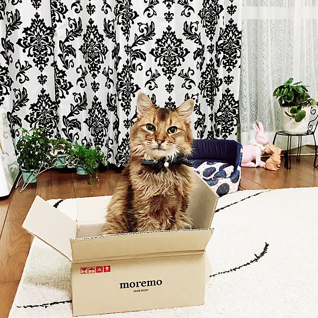 yukarinさんの実例写真