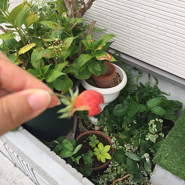 satoさんの実例写真