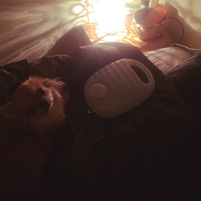 kukuruさんの実例写真