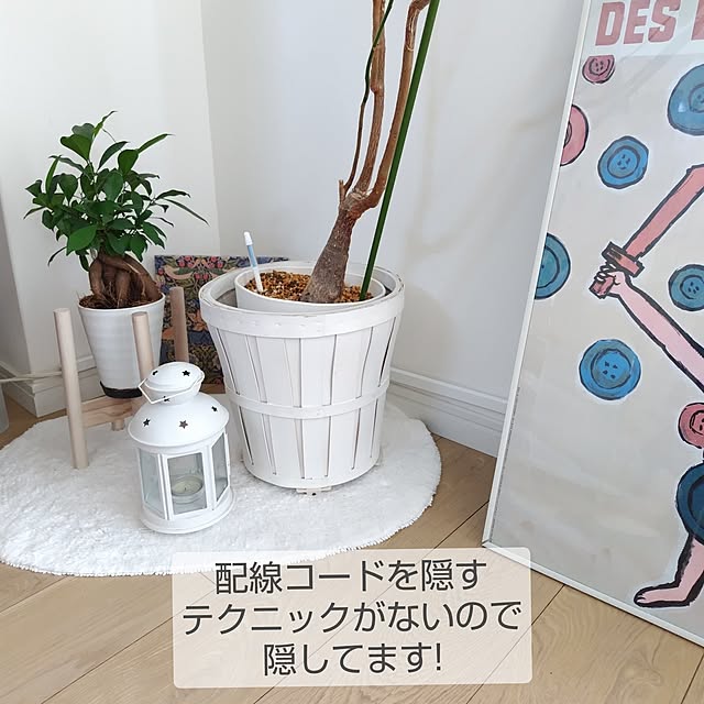 yamamaさんの部屋