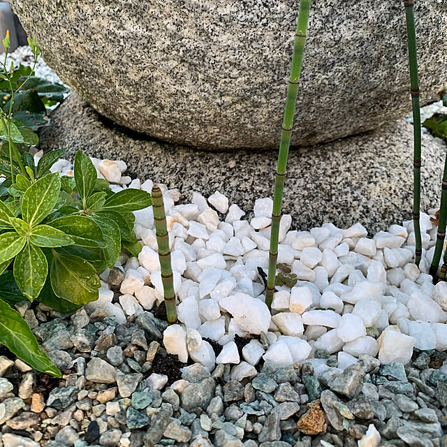 h_home.hさんの実例写真