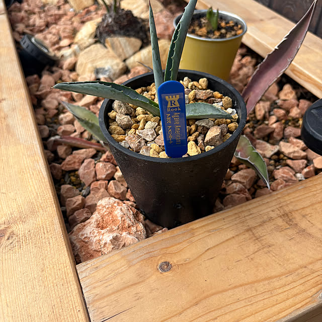 t-k-aさんの実例写真