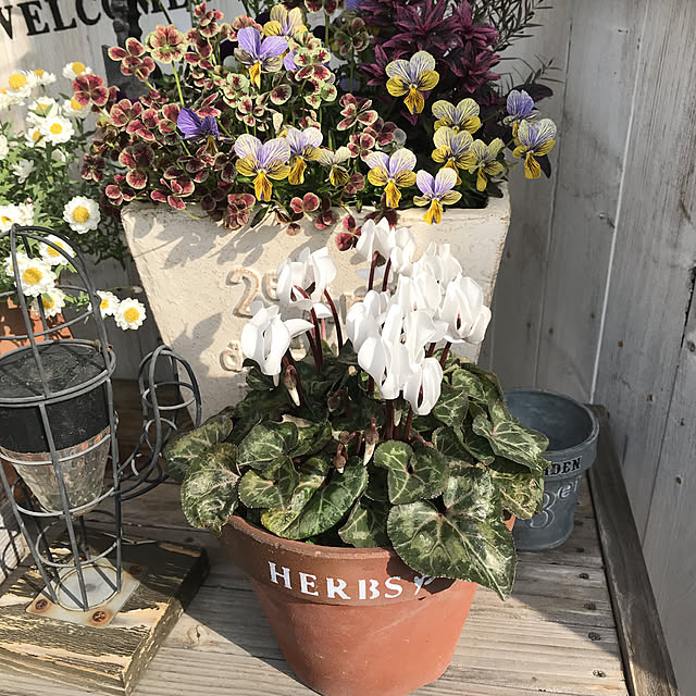 tanomamaさんの実例写真