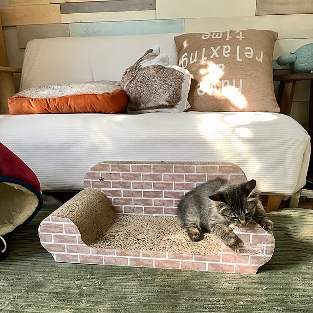 kazaneさんの実例写真