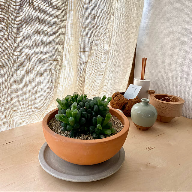観葉植物/ハンドメイド/棚のインテリア実例 - 2020-09-19 09:05:54