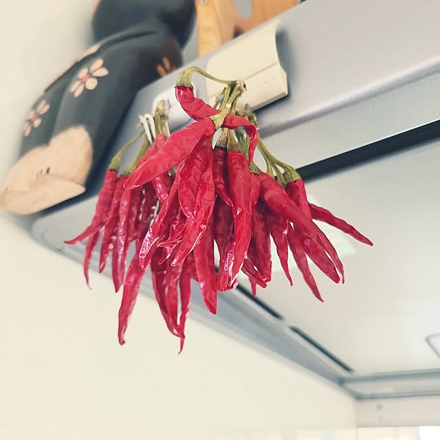 mutyukingさんの実例写真