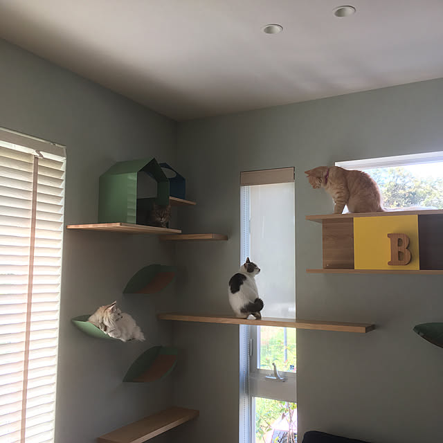 nyancohomeさんの実例写真