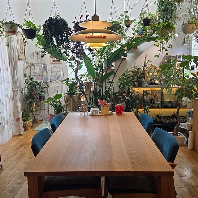 nonbiri_house_さんの部屋