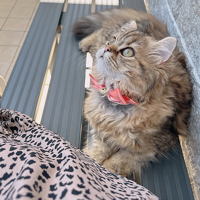 miyu39さんの実例写真