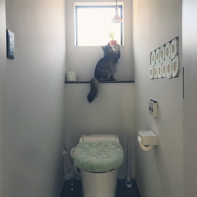 実例写真