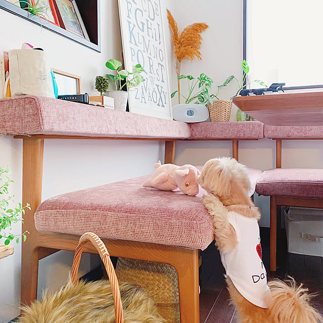 risaさんの実例写真