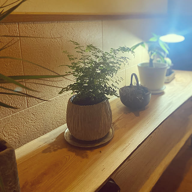 kurashi_no_cotoさんの実例写真