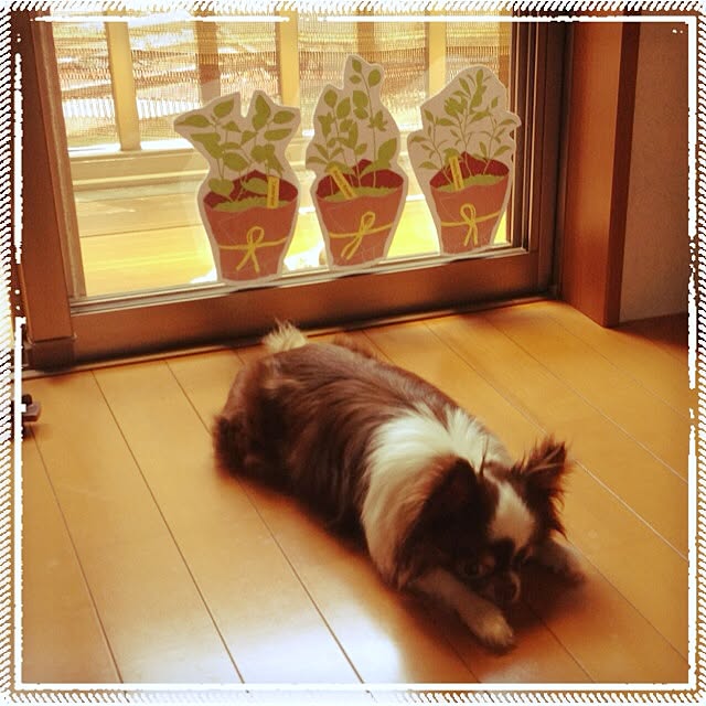 keiko.tさんの実例写真