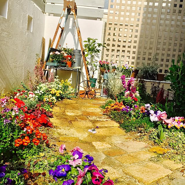 cocco0505さんの実例写真