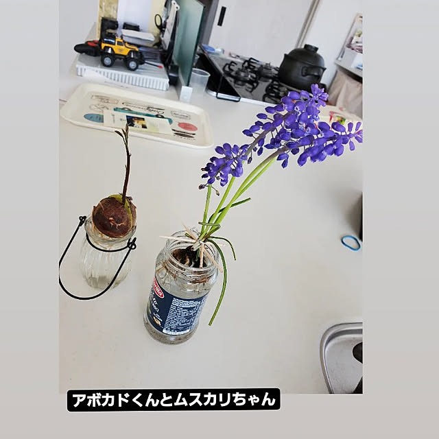 nonchanさんの実例写真
