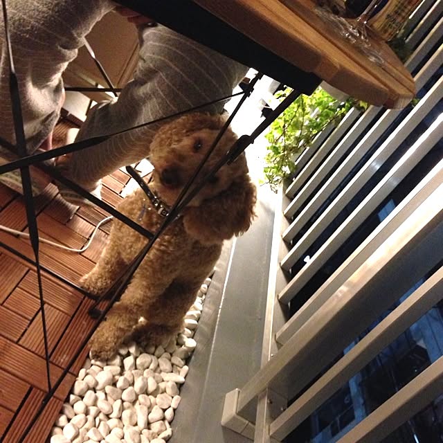 maroさんの実例写真