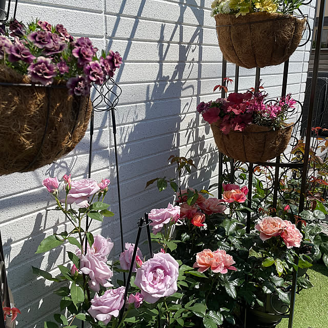 mitowaさんの部屋