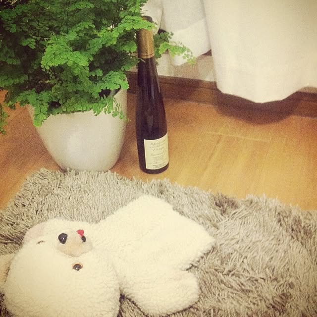 shimaさんの実例写真