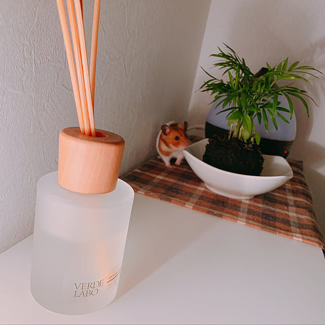 kozu24dさんの実例写真