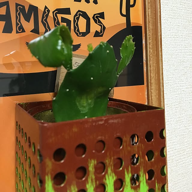 tetra163さんの実例写真