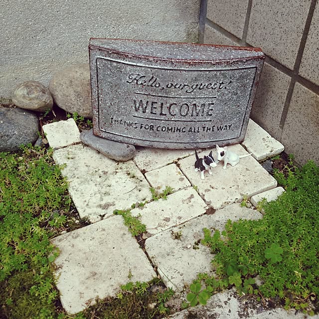 micchyさんの実例写真