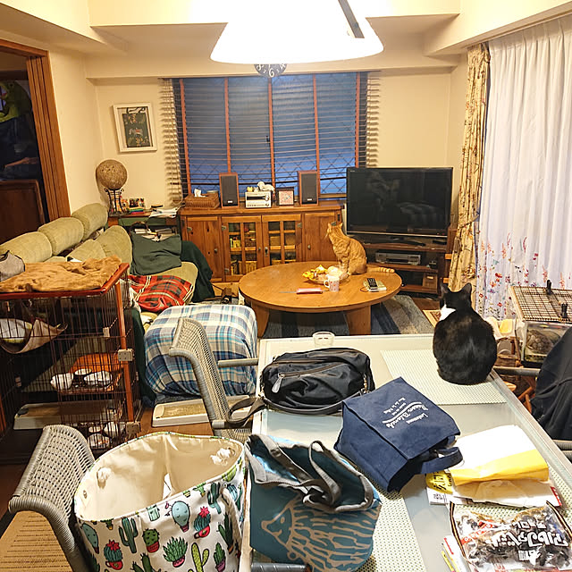 okyosan101さんの実例写真