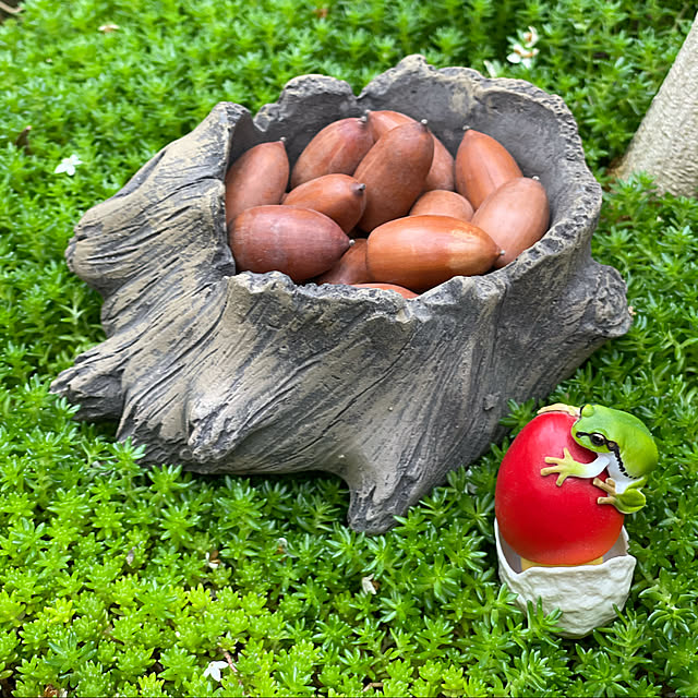 miechuraさんの実例写真