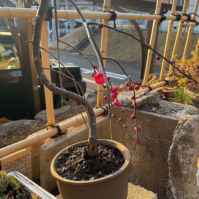 shin0719さんの部屋