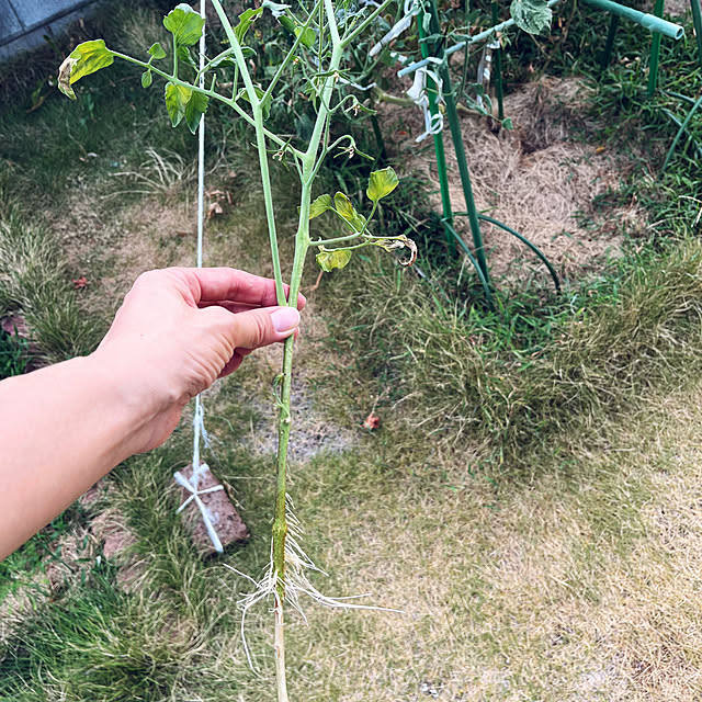 seiさんの部屋
