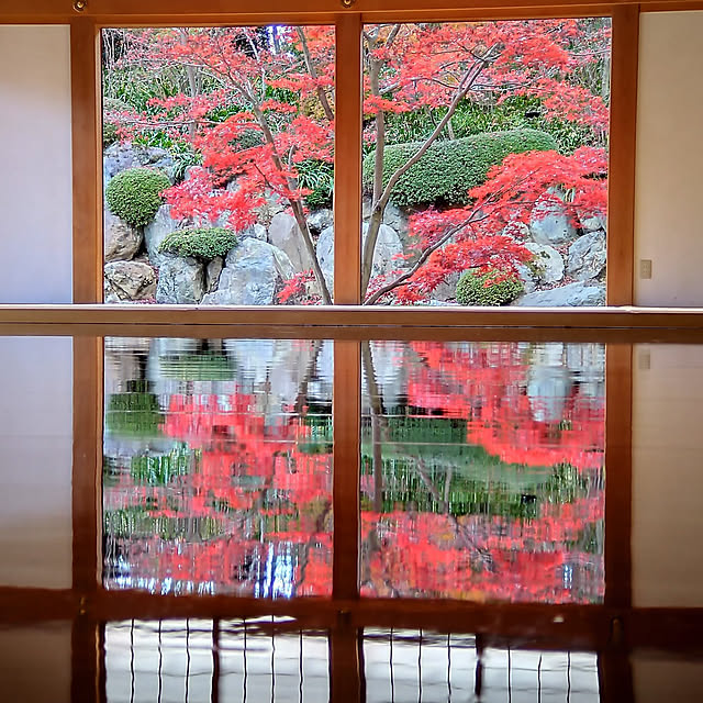y.ebihara0811さんの実例写真