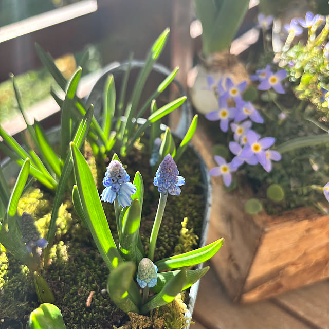 kyoko1124koさんの部屋