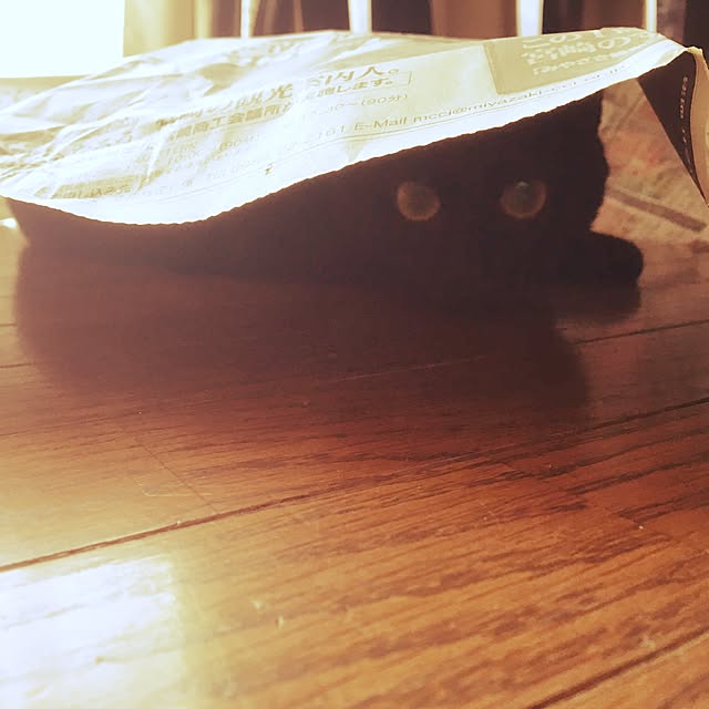 mahi1101さんの実例写真