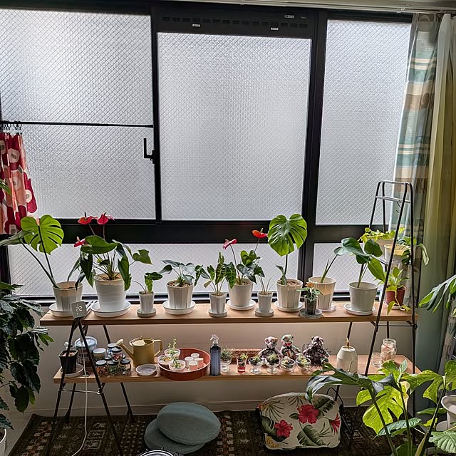 kolo92さんの実例写真