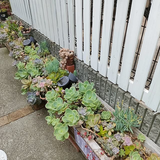 VERANDARJUNさんの実例写真