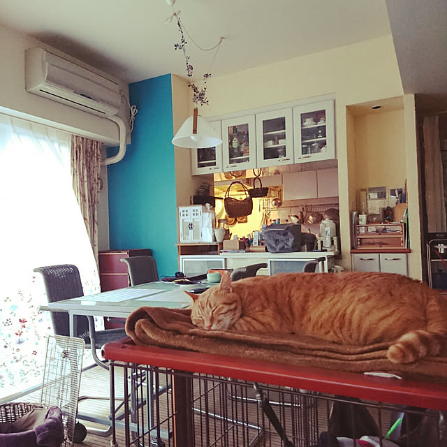 okyosan101さんの実例写真