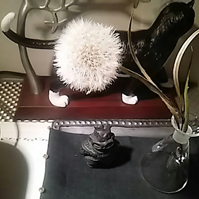 spinetailさんの実例写真