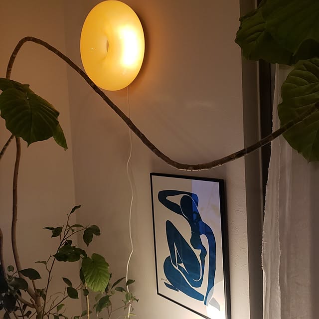 dropさんの実例写真