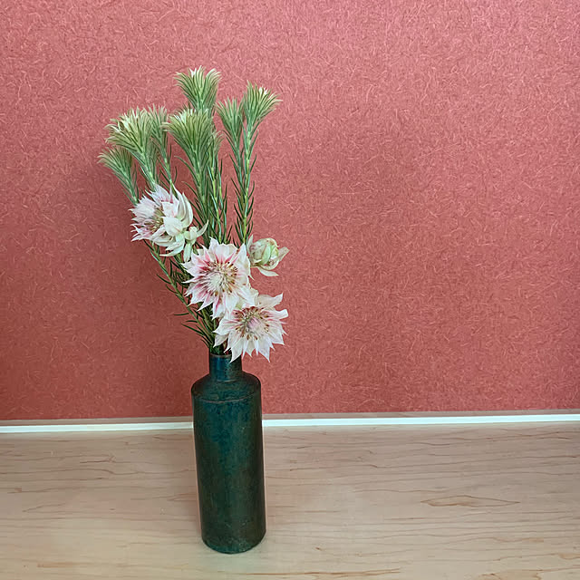 Shiguさんの実例写真