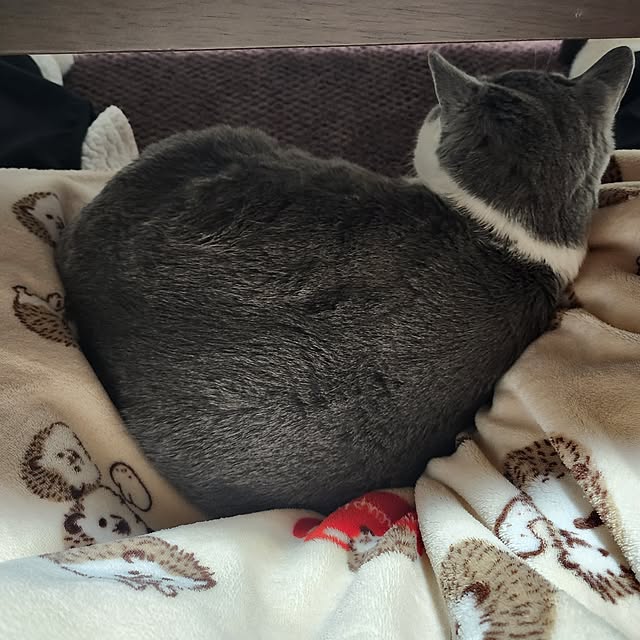 rhuさんの実例写真