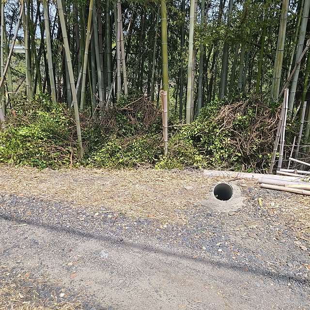 Rubiconさんの部屋
