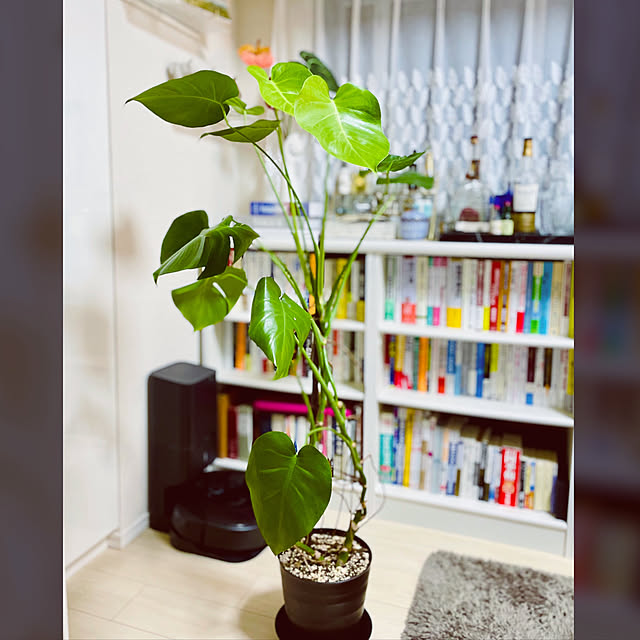 oliverさんの実例写真