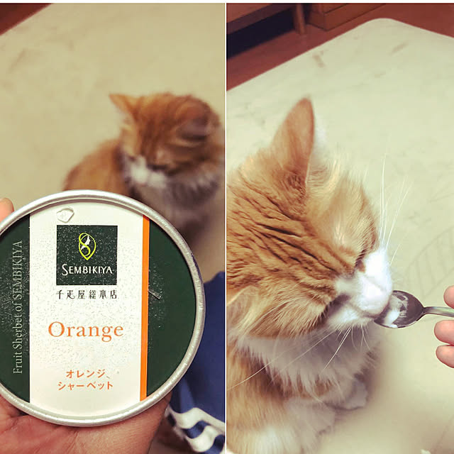 uchidaizuさんの実例写真