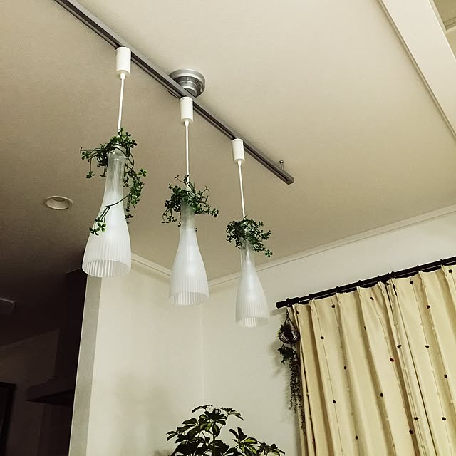 Mikaさんの実例写真