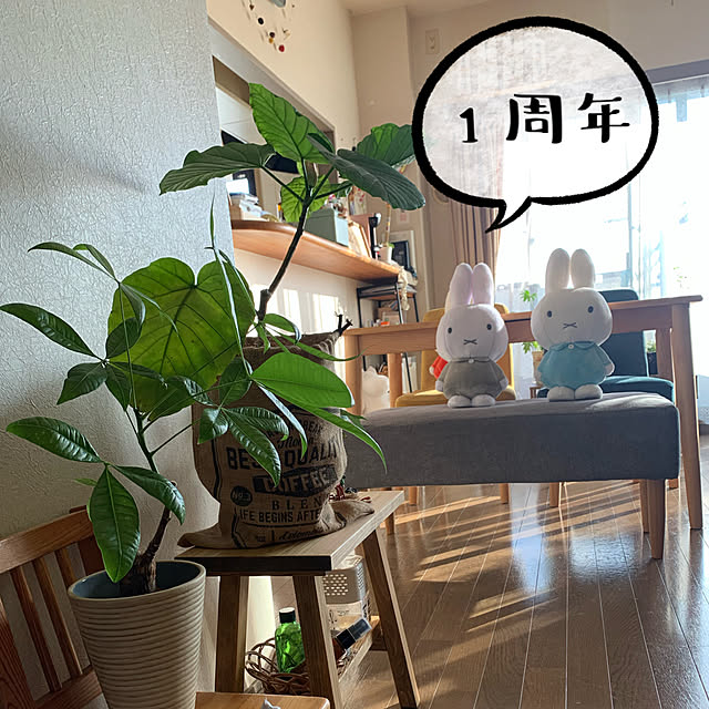 JUNさんの実例写真