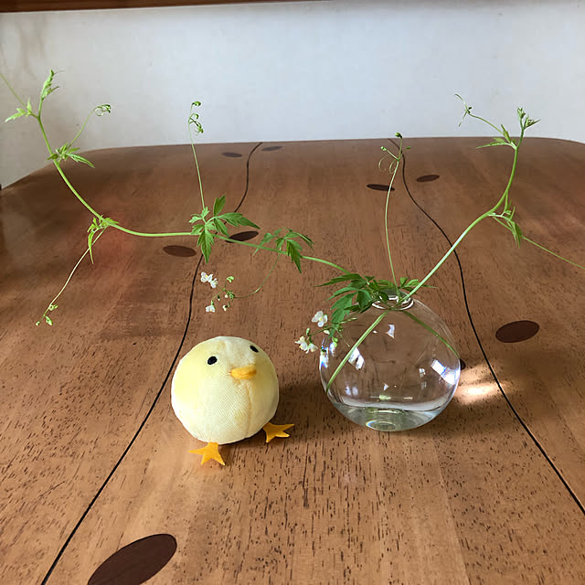 comugi624さんの実例写真