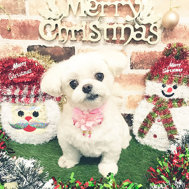 moco.nさんの実例写真