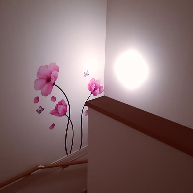 akanegumoさんの実例写真
