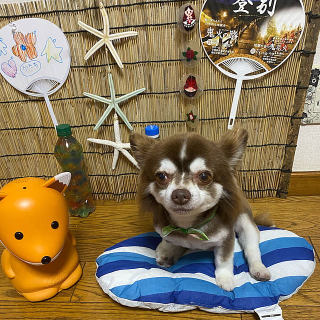 chIoeさんの実例写真