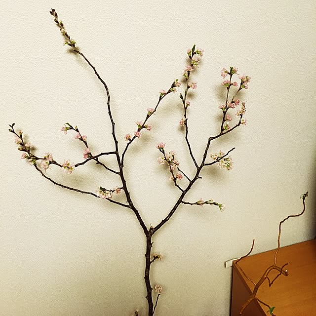 wakamamaさんの実例写真