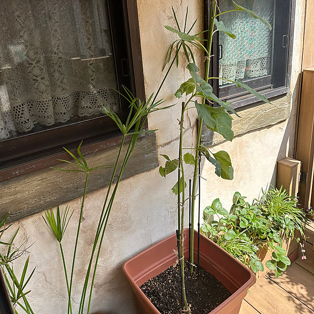 tabasaさんの部屋